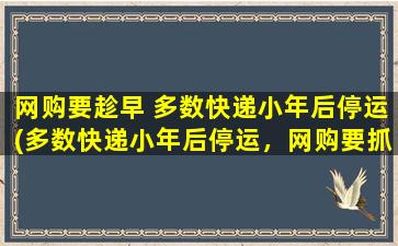 网购要趁早 多数快递小年后停运(多数快递小年后停运，网购要抓紧，趁早下单！)